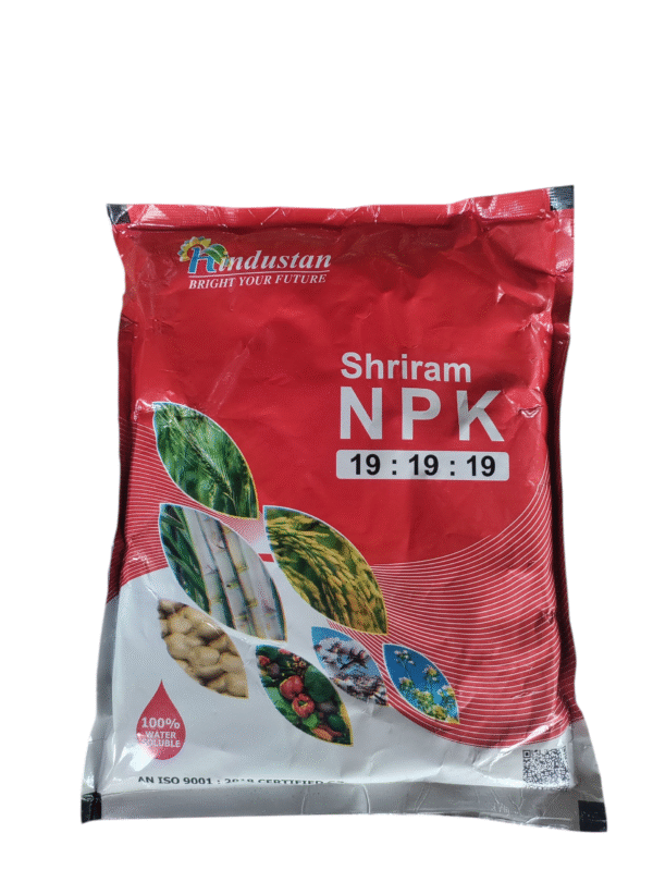Npk 19:19:19 - 1 Kg