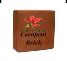 Cocopeat Brick- 4 Kg